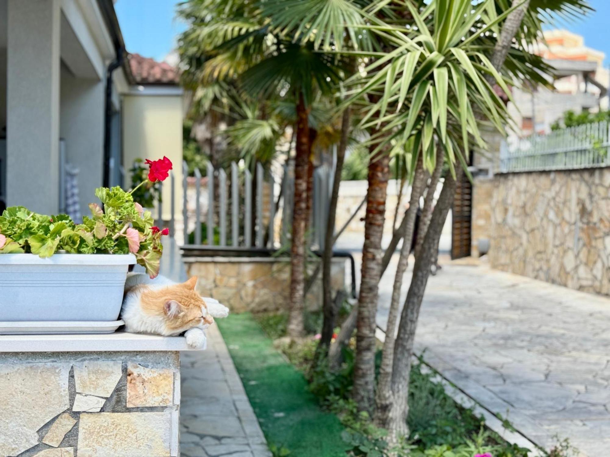 Villa Ida Apartments Vlore Exterior photo